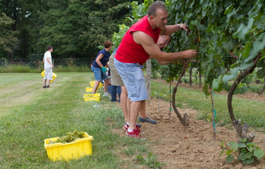 Penns Woods In Chadds Ford Plans Cheese, Wine, Honey Pairings