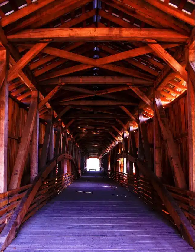 Covered Bridge: Kyle Hudson @ WSL, The World’s Best Robin Williams Impersonator and Iron&Wine