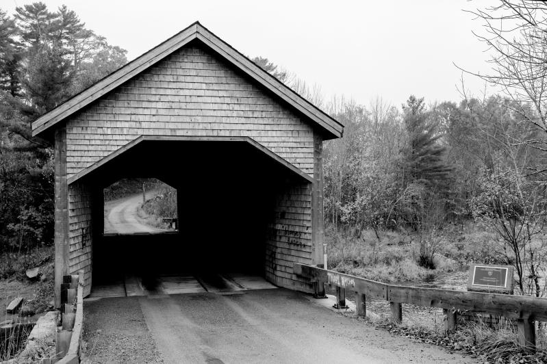 Covered Bridge: John Oliver, President Obama, And YouTube Cofounders