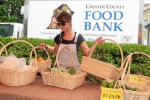 CC Food Bank Daily News