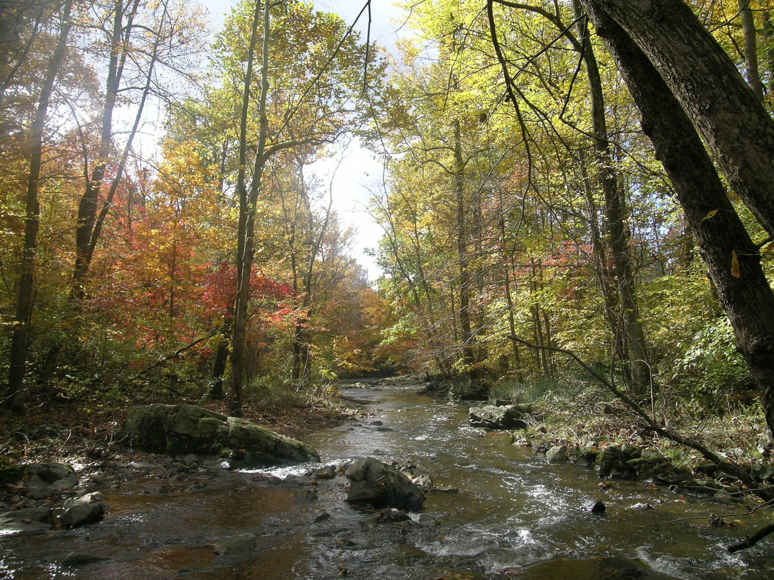 Brandywine Creek Vista Today Chester County Business News