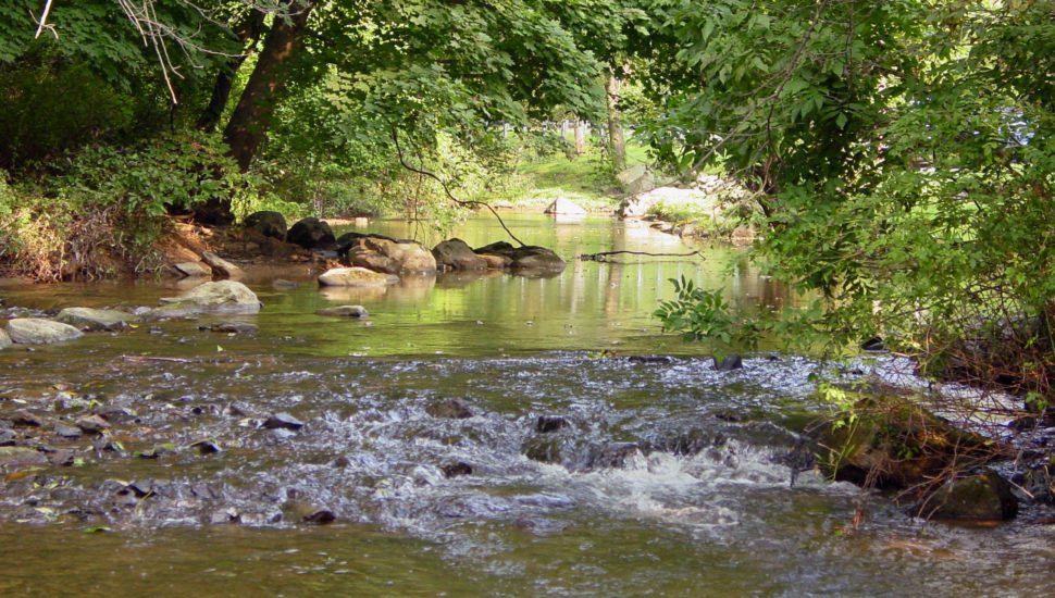 Chester County Datebook