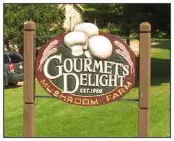 VISTA Today Gourmet's Delights Mushrooms