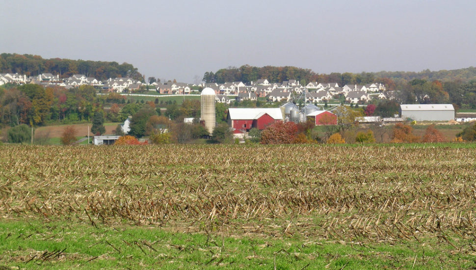 Chester County Ag Notes: Strength In Diversity