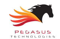 Pegasus Technologies