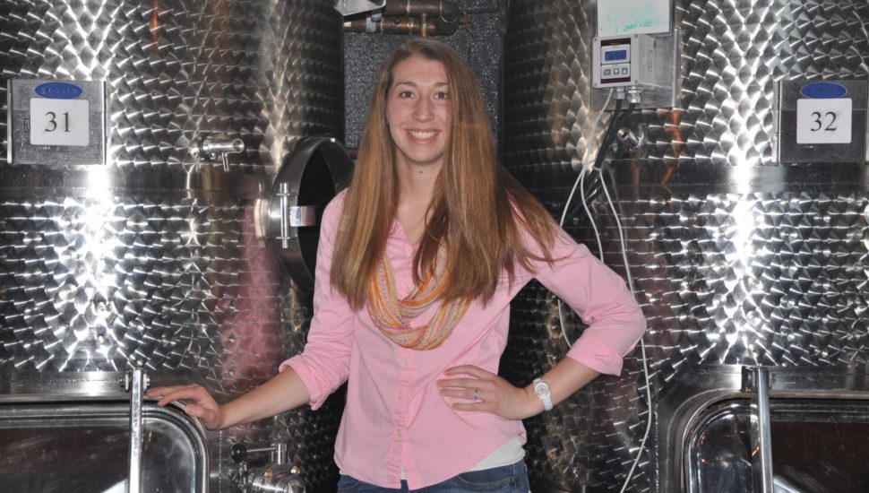 Learn the Basics of basics of Wine, Wine Growing, and Winemaking From Galler Estate Winery