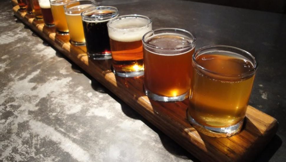 Startup Brewery Plants Its Roots in Chester County