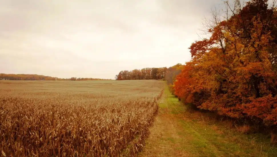 Natural Lands Acquires 1,500 Acres, Including Bryn Coed Farms, for Preservation
