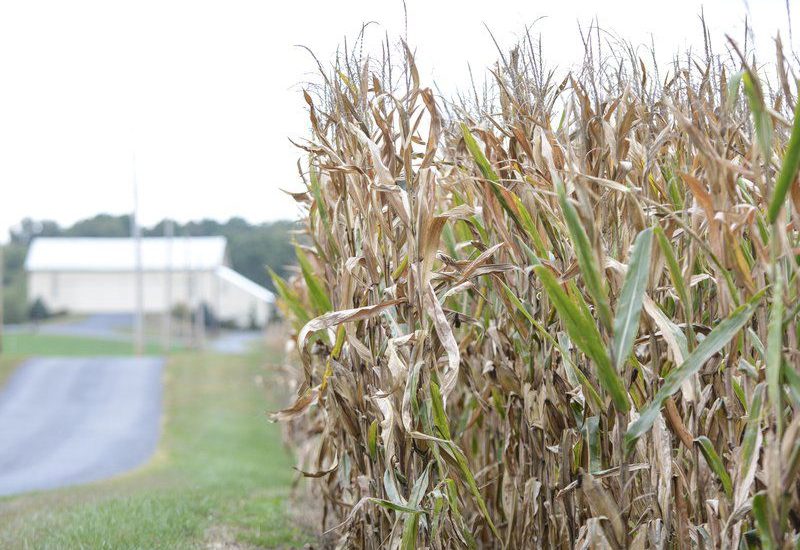 Down 2.4 Inches of Precipitation, Chester County Much Drier Than Usual