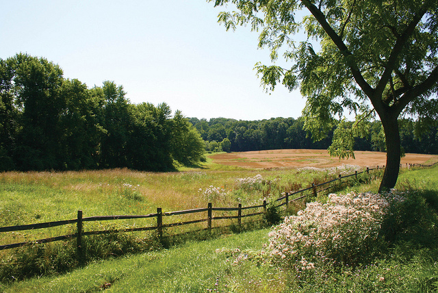 Chair of Chester County Commissioners: It’s All in the Planning