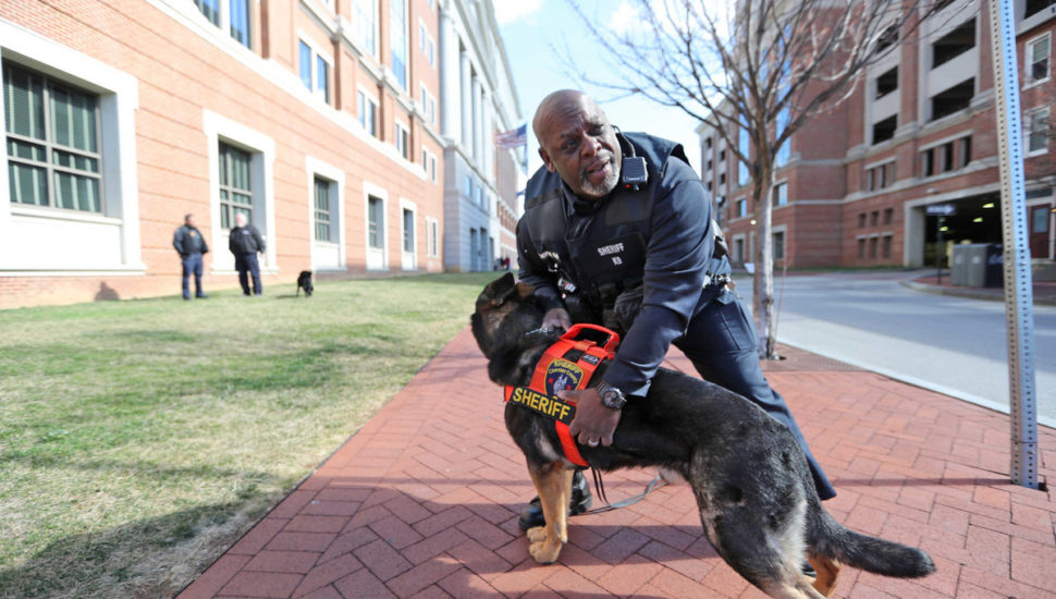 Chester County’s K-9 Academy Quickly Becoming One of Nation’s Best