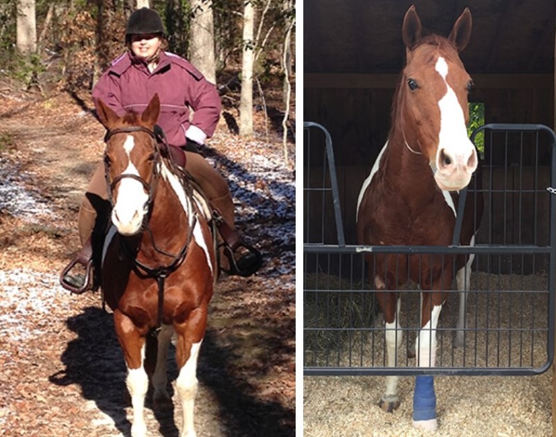 Faced with Life-or-Death Decision, Trail Rider Turns to New Bolton Center for Horse Surgery