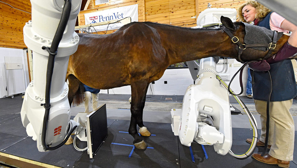 State House Approves Funding for ‘World’s Greatest Animal Hospital’ in Kennett Square