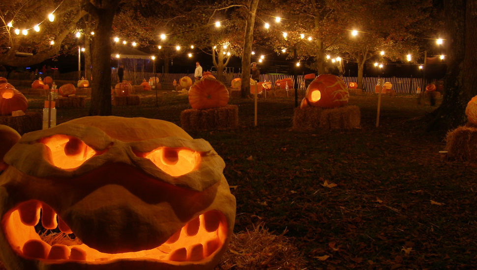 Chadds Ford Historical Society’s Annual Great Pumpkin Carve Kicks Off Today