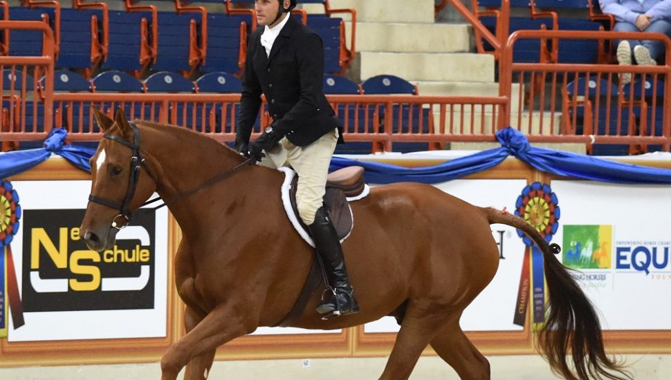 Cochranville Olympian a Surprise Competitor at Pennsylvania National Horse Show