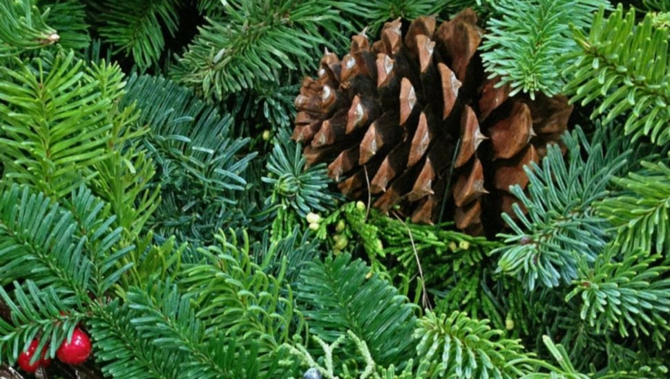 Chester County Historical Society’s Holiday & Greens Sale a Volunteer-Driven Fundraiser