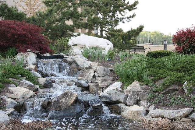 VISTA Career – Penn State Great Valley