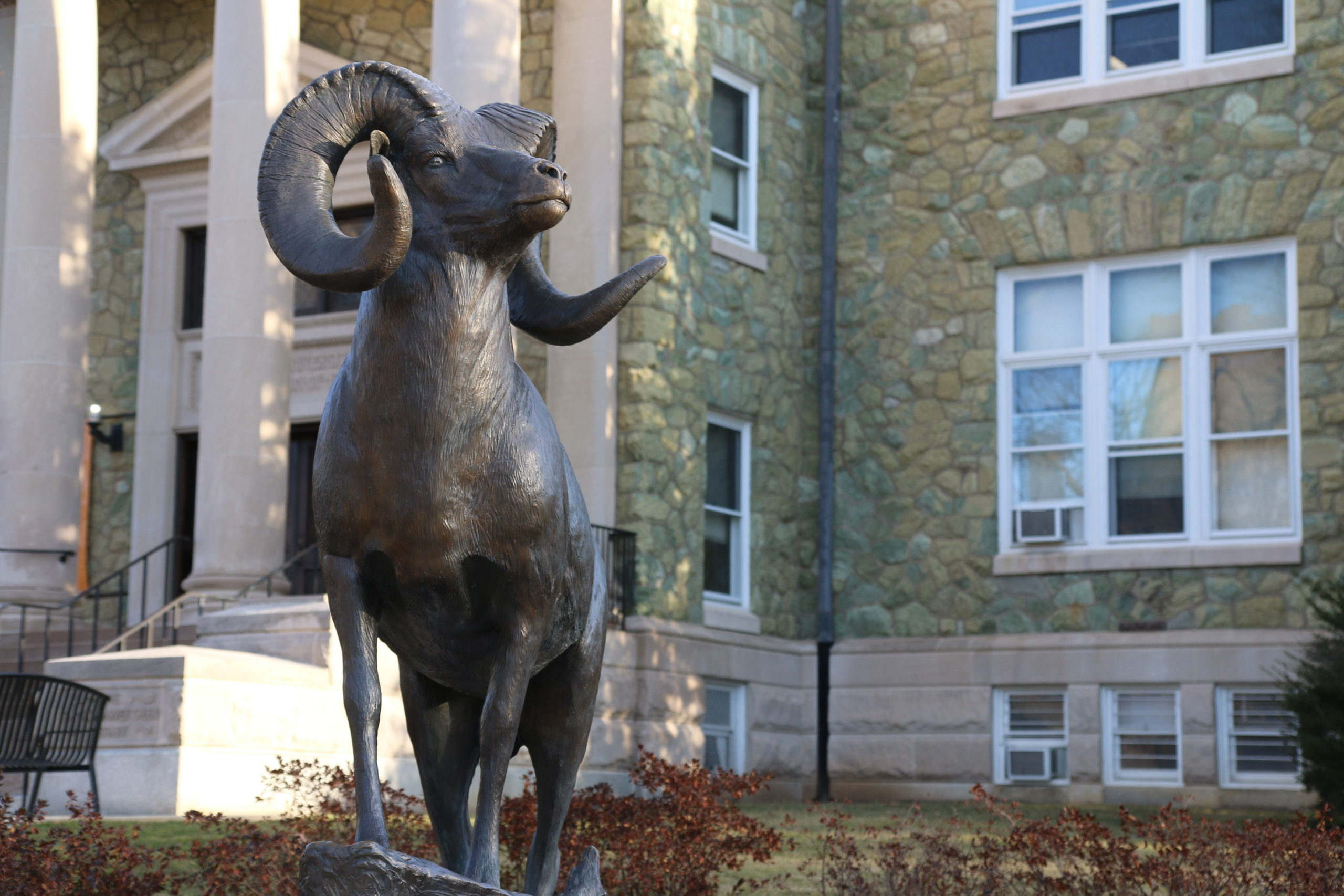 WCU Launches Program to Help Students with Intellectual Disabilities Attend College