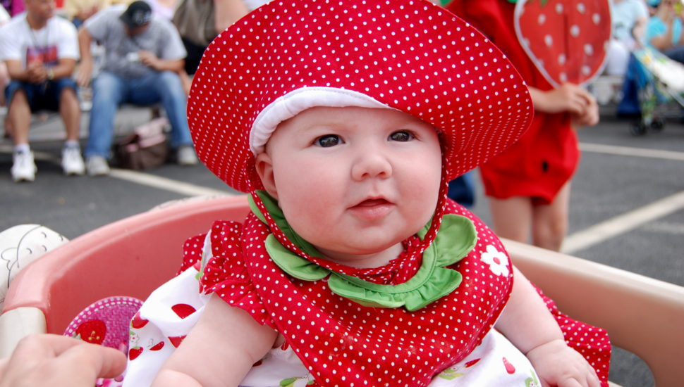 Celebrate National Strawberry Day by Supporting the 2018 Strawberry Festival
