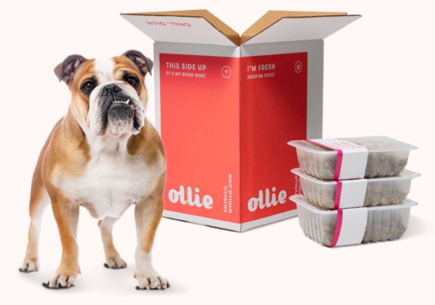 Manhattan-Based Startup Delivers Dog Meals That Are Custom-Made in Downingtown