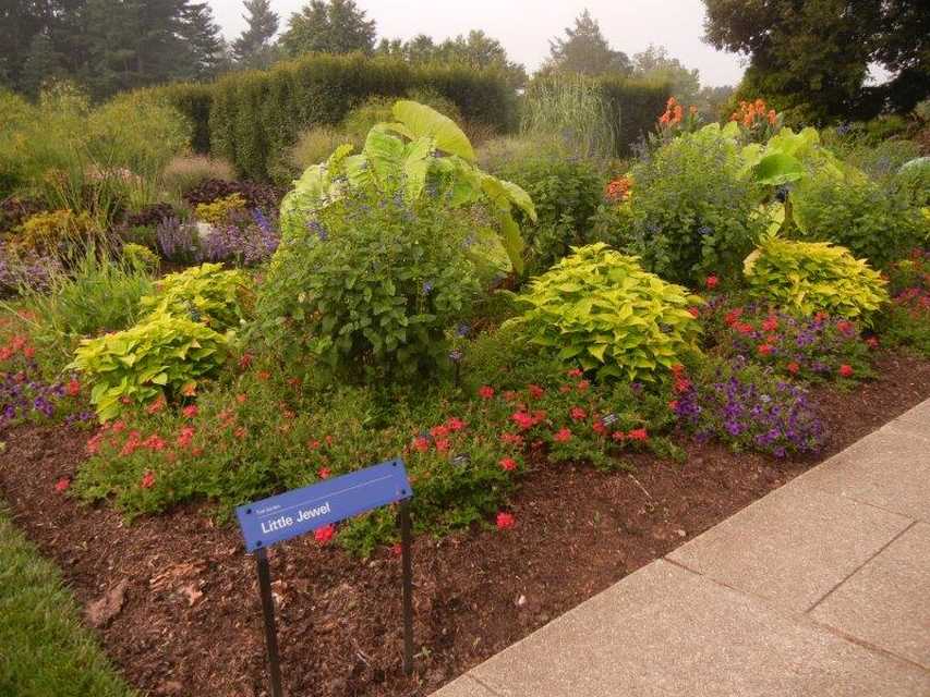 Longwood Gardens Announces Winners Of Competition Among Its Expert