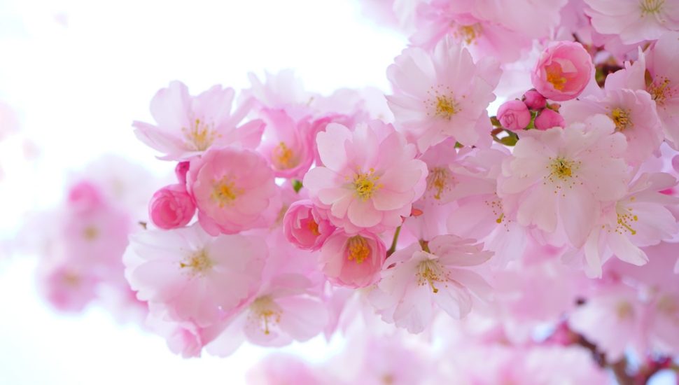 5 Mother’s Day Presents to Woo Your Mom
