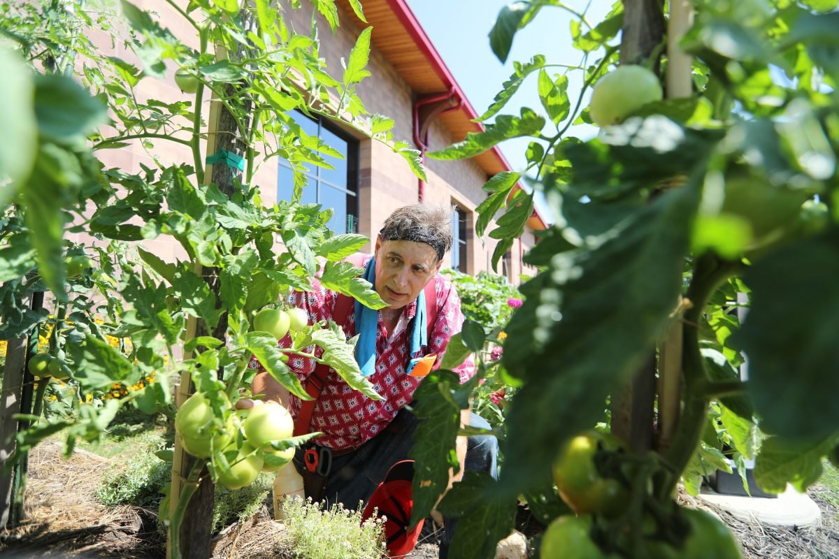 Retired Lawyer Turns Patch of Grass in Haverford into Wondrous Garden That Feeds the Hungry