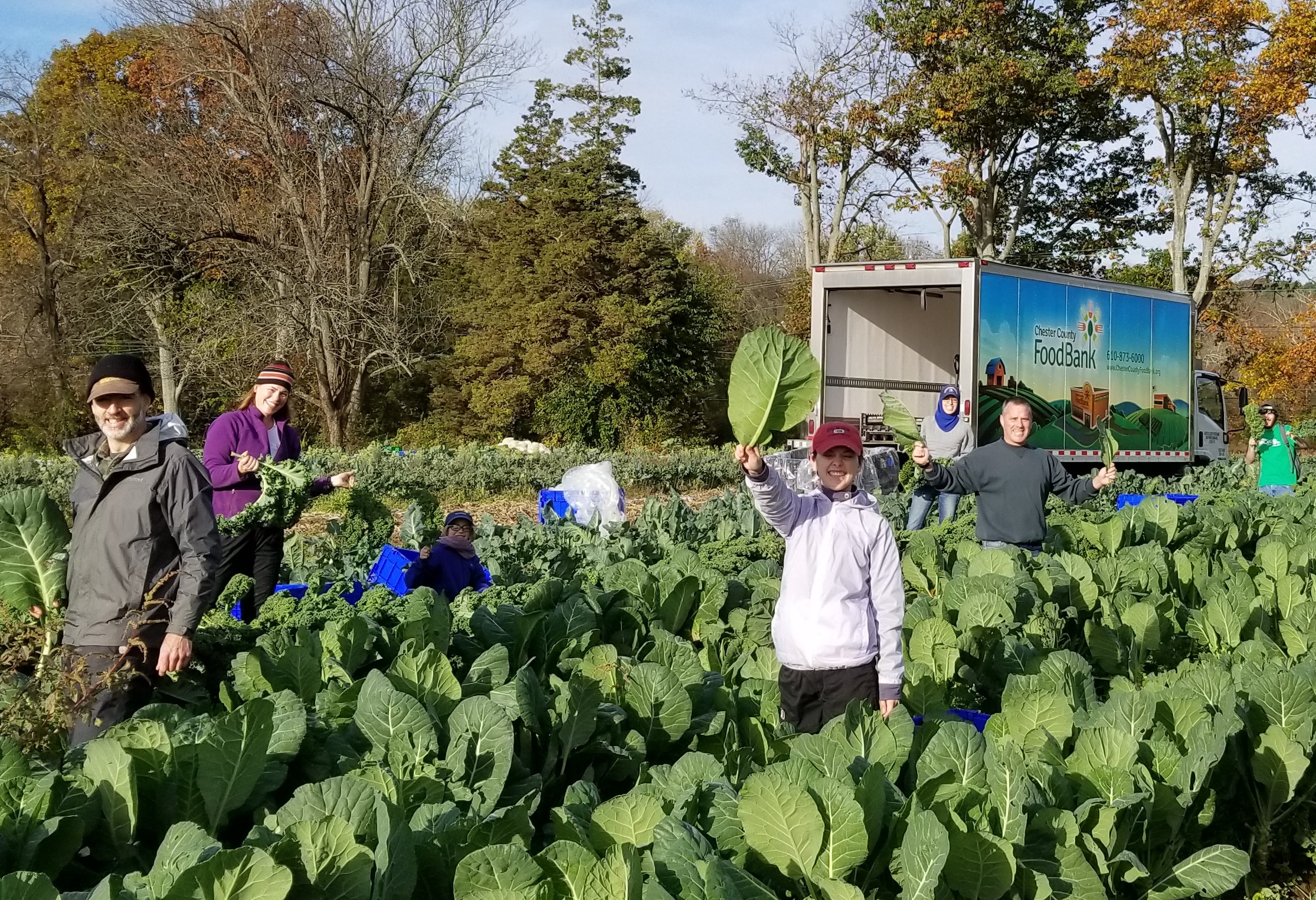 VISTA Careers – Chester County Food Bank