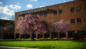 brandywine hospital