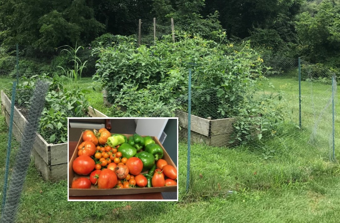 Malvern Bank ‘Grows It Forward’ for the Benefit of the Chester County Food Bank