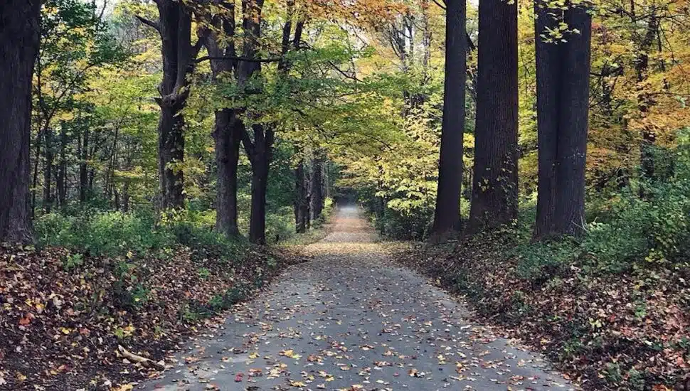 Photo Contest Fall-Colors Winner Lauren Bachner