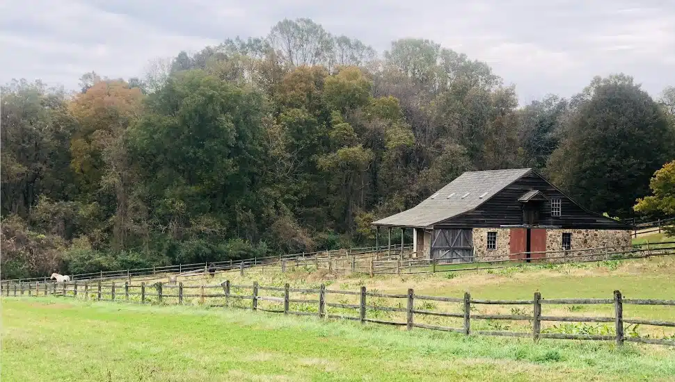 VISTA Today Announces Winners of Weekly Chester County Smartphone Photo Contest