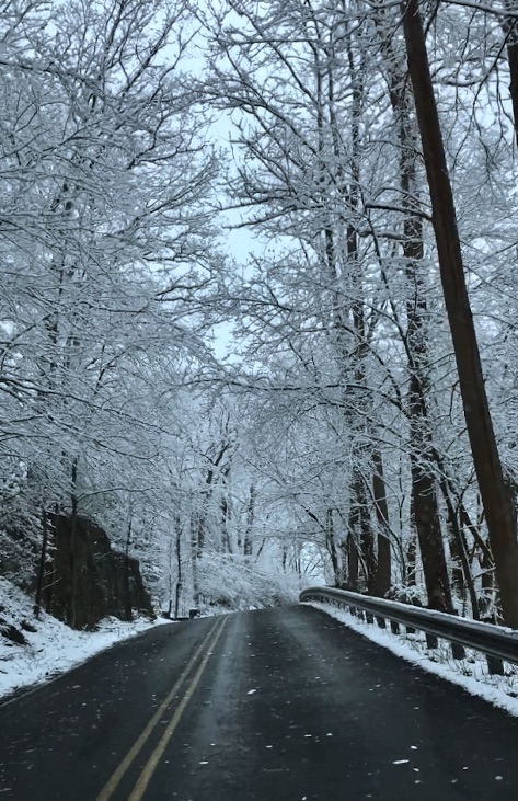 Weekly Chester County Smartphone Photo Contest Winners