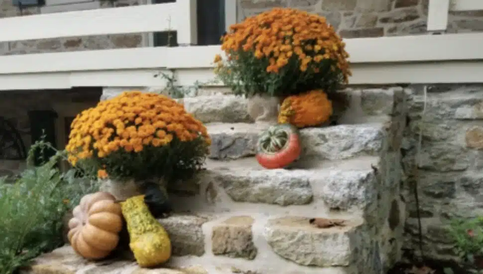 VISTA Today Announces Winners of Weekly Chester County Smartphone Photo Contest