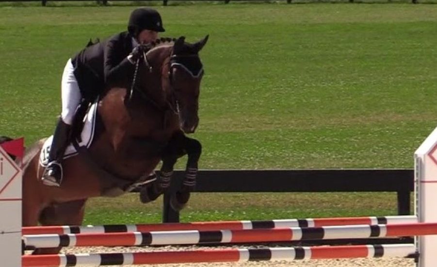 Malvern Woman Wins ,000 at Pennsylvania National Horse Show