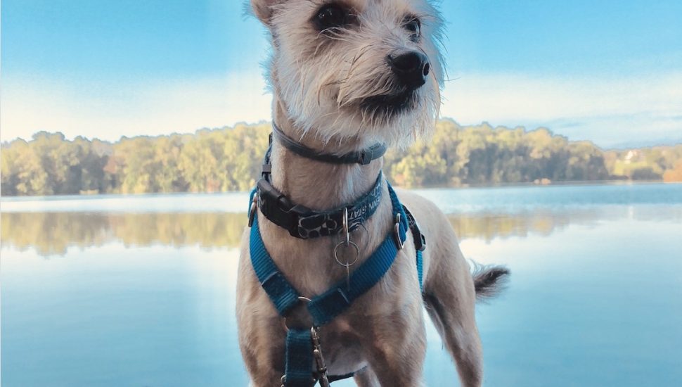 VISTA Today Announces Winners of Weekly Chester County Smartphone Photo Contest