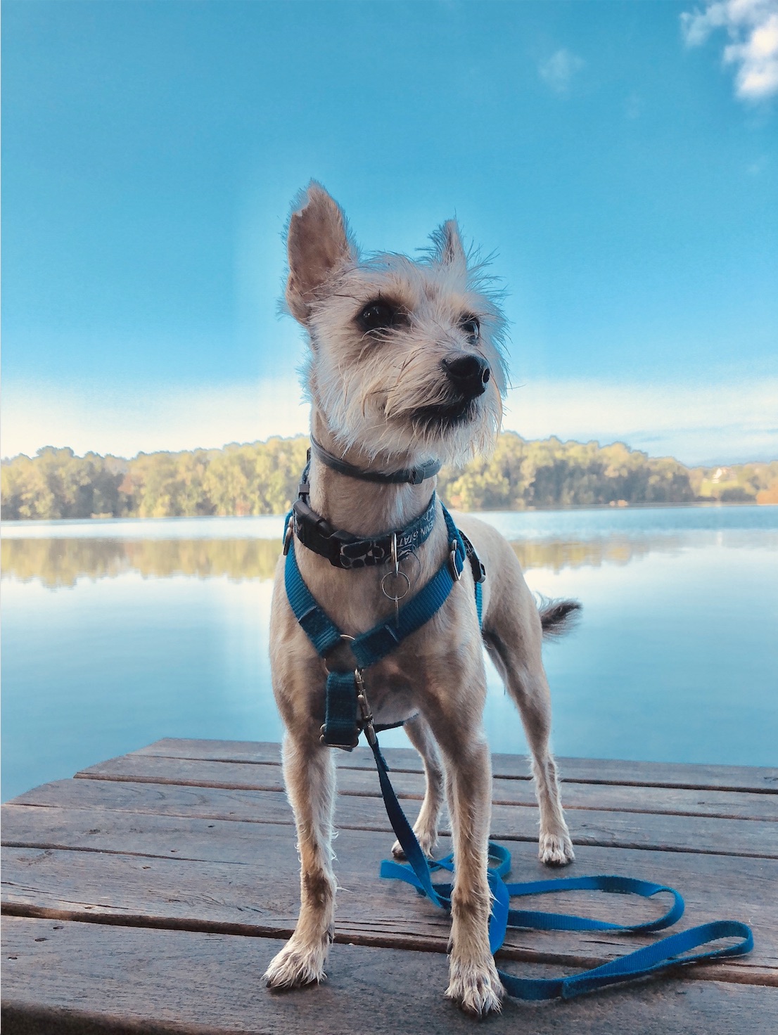 VISTA Today Announces Winners of Weekly Chester County Smartphone Photo Contest