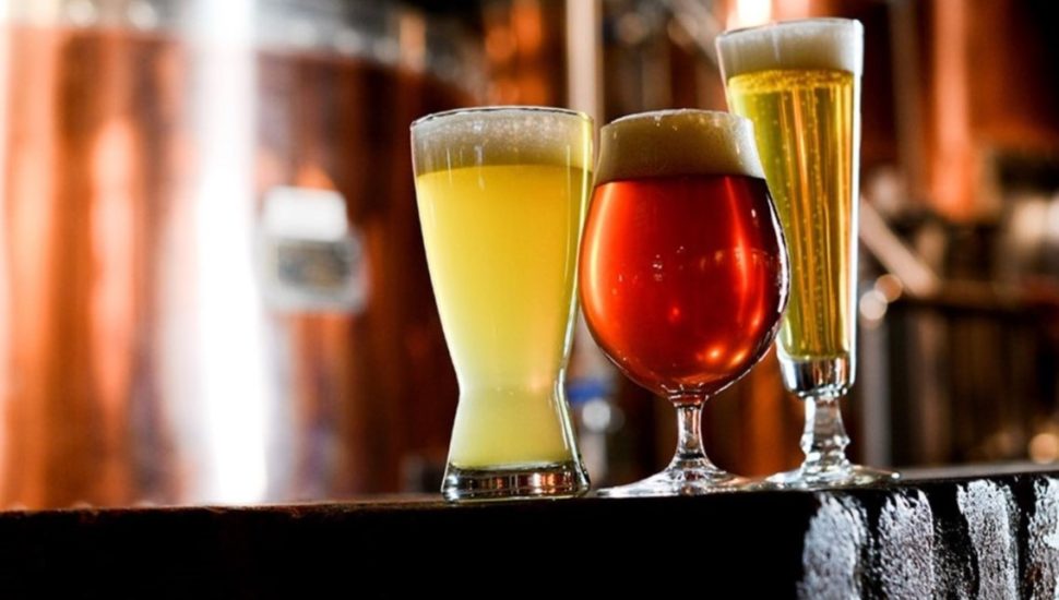 Need a Beer? Make One Yourself or Learn About Others Who Do in WilmU’s New ‘Crafty’ Course