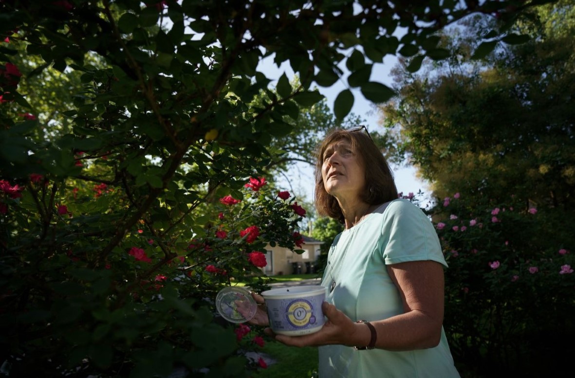 Phoenixville Woman Takes on Region’s Most Loathed Adversary: ‘It’s War in My Backyard’
