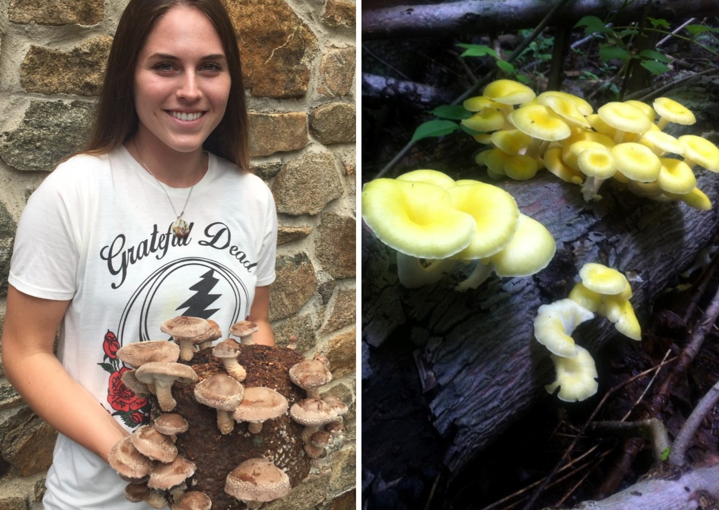 Interning at ‘Company with a Conscience,’ Neumann Student Champions Spring City Mushrooms