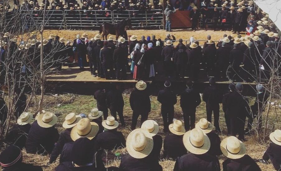As Amish Population in Lancaster County Grows, Some Are Leaving Their Homesteads Behind