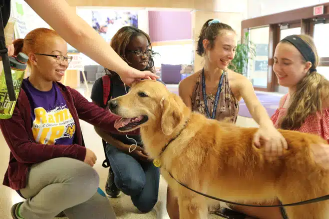 WCU Students De-Stress During Exams with the Help of Therapy Dogs
