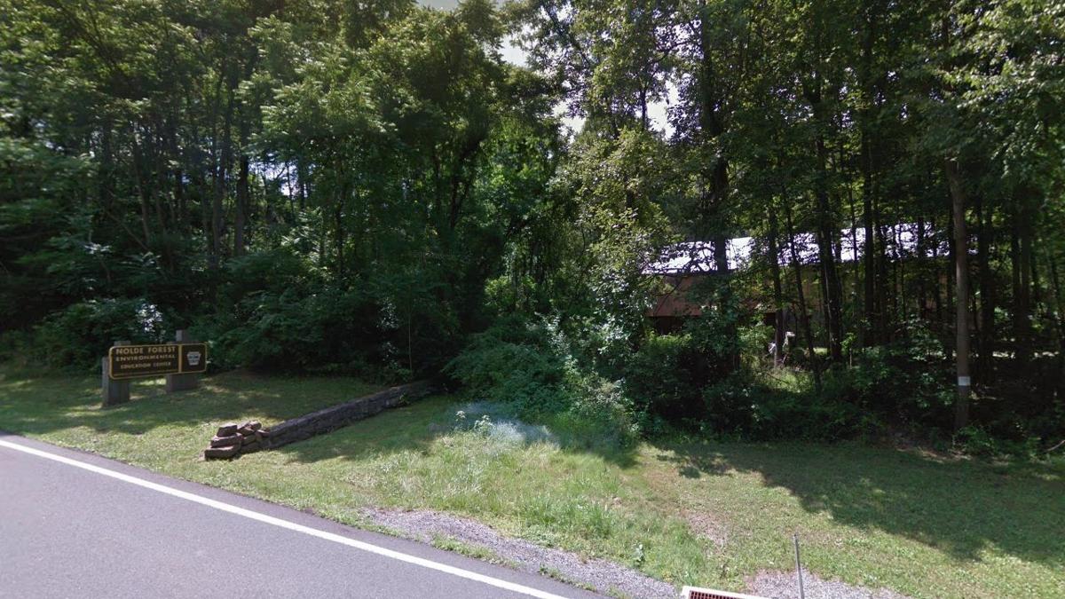 Natural Lands Contributes to Expansion of Forest in Berks County