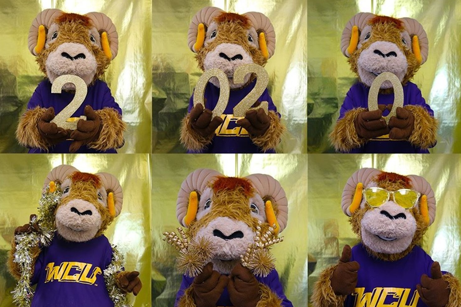 WCU Salutes Class of 2020 in Virtual Celebration; In-Person Grad Ceremonies to Be Held Later