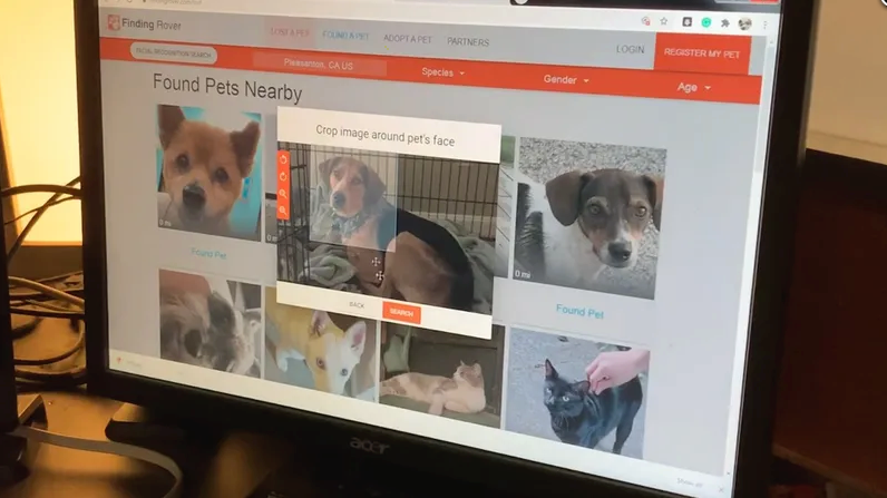 Brandywine Valley SPCA in West Chester Partners with Facial Recognition App  to Help Reunite Lost Pets with Owners