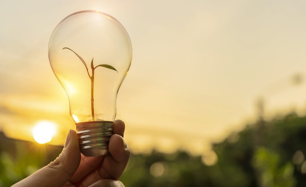 A Customized Solution: Sustainable Energy Management