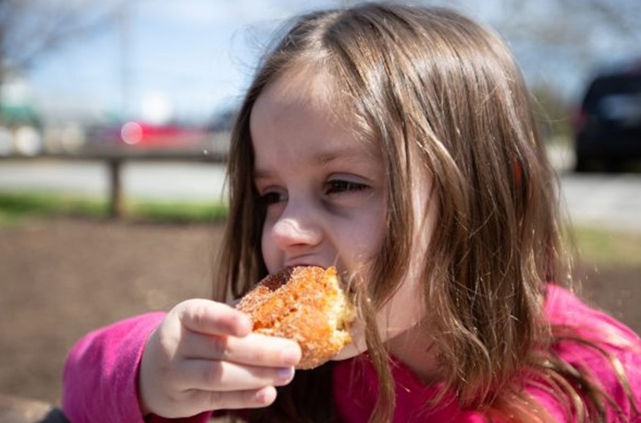Fall Means Apple Cider Donuts, and No One Makes Them Better Than This Iconic Orchard