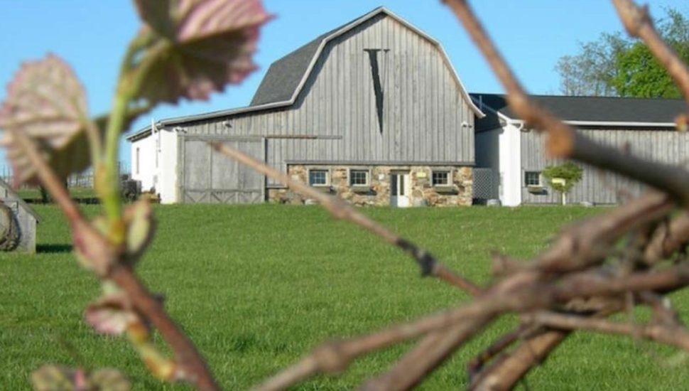 La Va Vineyards Avondale