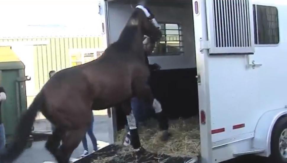 Brooklyn Strong Kentucky Derby