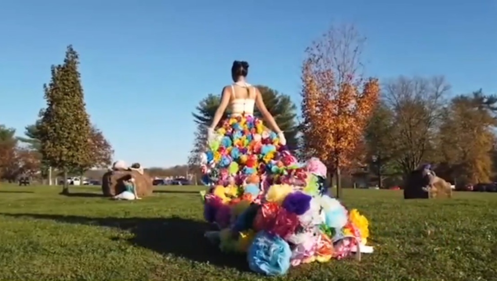 wcu carnival of ruin